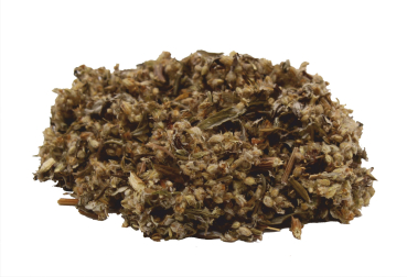 Bio Beifuss Kraut vom Terra Magnifica Projekt