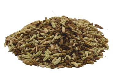 Bio Fenchel Tee Hausmischung