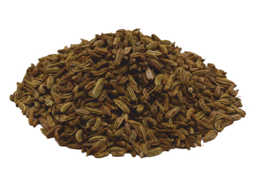 Bio Weinviertler Fenchel Samen ganz