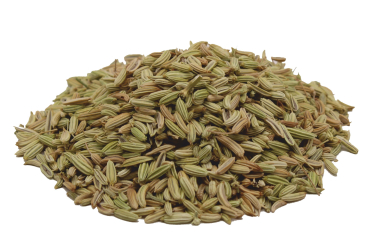 Bio Fenchel Samen grün ganz Premium