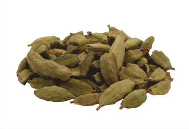 Bio Kardamom ganz extra grün Premium Wildsammlung