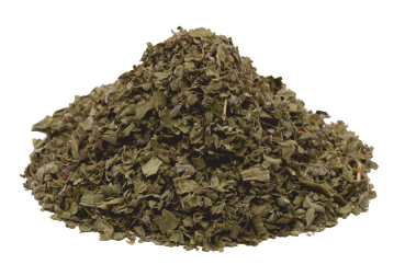 Bio Seewinkler Majoran Premium
