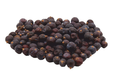 Bio Wacholderbeeren ganz
