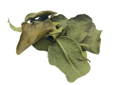 Limetten Blätter ganz BIO