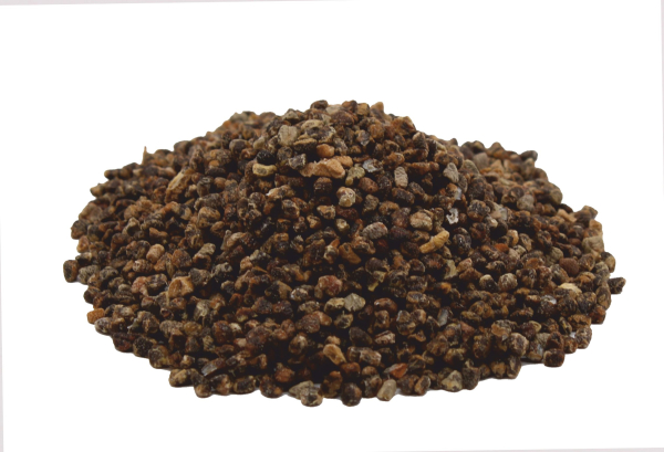 Bio Kardamom Saat ganz Premium Wildsammlung