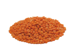 Rote Linsen BIO